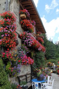 ETE34-La Floria_05
